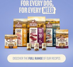 Natural Farm Adult Grain-Free 95% Animal Ingredients Chicken Recipe Canned Wet Puppy Food, 12-oz can, case of 12 slide 2 of 8