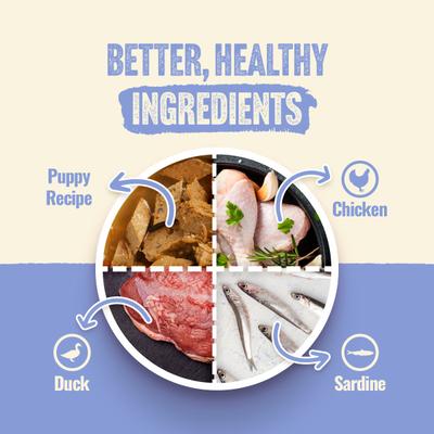 Show full view: Natural Farm Adult Grain-Free 95% Animal Ingredients Chicken Recipe Canned Wet Puppy Food, 12-oz can, case of 12 slide 4 of 10