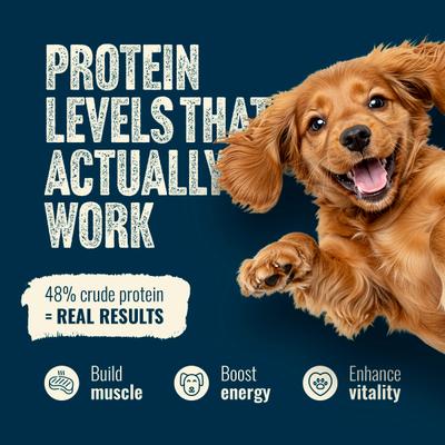 Show full view: Natural Farm Fresh Salmon Recipe with Collagen Dry Dog Food, 4-lb bag slide 7 of 11