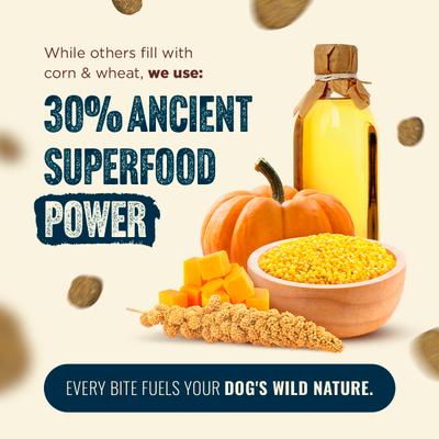 Show full view: Natural Farm Fresh Salmon Recipe with Collagen Dry Dog Food, 4-lb bag slide 5 of 11