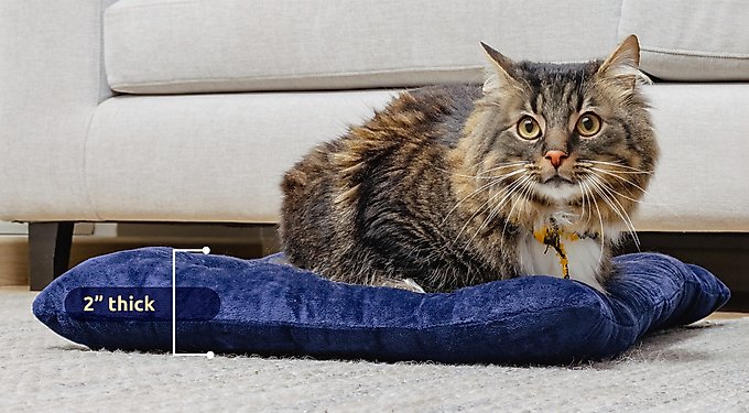 PetLuv Premium Soft-Sided Cat & Dog Carrier