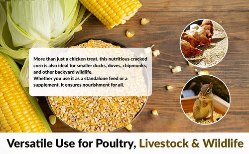 Show full view: Old Potters Co. Wildlife Premium Cracked Corn Wild Bird Food, 15-lb bag slide 4 of 8