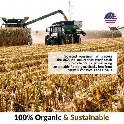 Show full view: Old Potters Co. Wildlife Whole Shelled Corn Wild Bird Food, 50-lb bag slide 7 of 7