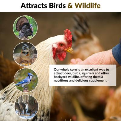 Show full view: Old Potters Co. Wildlife Premium Cracked Corn Wild Bird Food, 15-lb bag slide 7 of 8