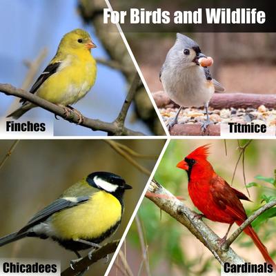 Show full view: Old Potters Co. Wildlife Striped Sunflower Seeds Wild Bird Food, 3-lb bag slide 2 of 6