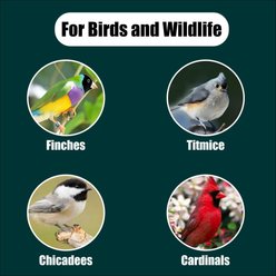 Old Potters Co. Black Oil Sunflower Seeds Wild Bird Food, 50-lb bag slide 2 of 6