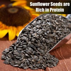 Old Potters Co. Black Oil Sunflower Seeds Wild Bird Food, 25-lb bag slide 2 of 6