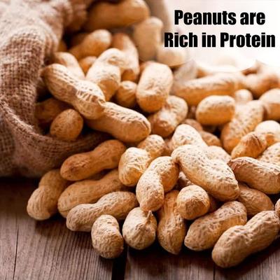 Show full view: Old Potters Co. Wildlife In-Shell Peanuts Wild Bird Food, 4-lb bag slide 5 of 6