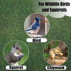 Old Potters Co. Wildlife Shelled Peanuts Wild Bird Food, 25-lb bag slide 2 of 6