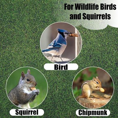 Show full view: Old Potters Co. Wildlife In-Shell Peanuts Wild Bird Food, 4-lb bag slide 6 of 6
