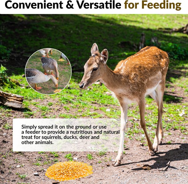 Old Potters Co. Wildlife Premium Cracked Corn Wild Bird Food
