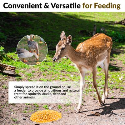 Show full view: Old Potters Co. Wildlife Premium Cracked Corn Wild Bird Food, 15-lb bag slide 6 of 8