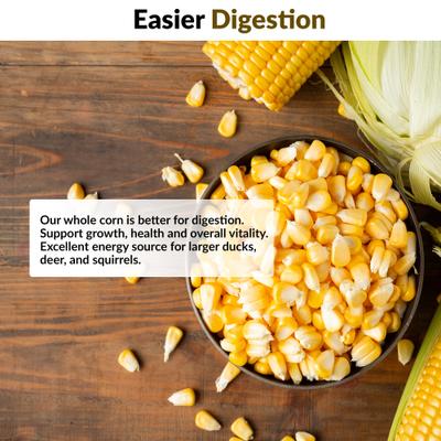 Show full view: Old Potters Co. Wildlife Whole Shelled Corn Wild Bird Food, 50-lb bag slide 5 of 7