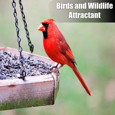 Show full view: Old Potters Co. Wildlife Striped Sunflower Seeds Wild Bird Food, 3-lb bag slide 4 of 6