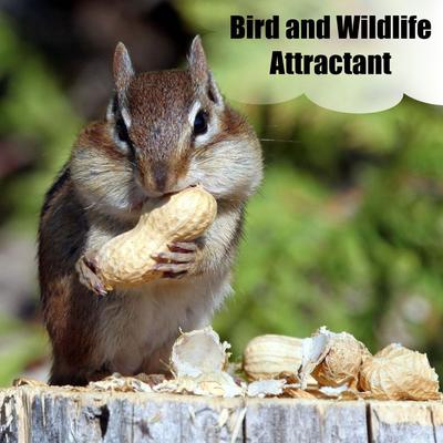 Show full view: Old Potters Co. Wildlife In-Shell Peanuts Wild Bird Food, 4-lb bag slide 2 of 6