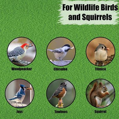 Show full view: Old Potters Co. Wildlife Shelled Peanuts Wild Bird Food, 5-lb bag slide 3 of 6