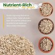 Show in main carousel: Old Potters Co. Wildlife Sunflower Hearts & Chips Wild Bird Food, 50-lb bag slide 3 of 6