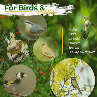 Show full view: Old Potters Co. Wildlife Sunflower Hearts & Chips Wild Bird Food, 25-lb bag slide 3 of 5