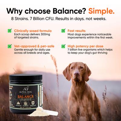 Show full view: Alpha Dog Nutrition Balance Probiotic Beef Flavor Powder Supplement for Dogs, 2.1-oz jar slide 8 of 10