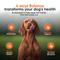 Show in main carousel: Alpha Dog Nutrition Balance Probiotic Beef Flavor Powder Supplement for Dogs, 2.1-oz jar slide 3 of 10