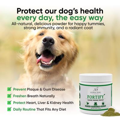 Show full view: Alpha Dog Nutrition Teeth Cleaning Powder Dental Supplement for Dogs, 4.6-oz jar slide 8 of 10
