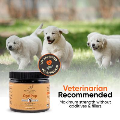 Show full view: Alpha Dog Nutrition OptiPup All-in-1 Multivitamin Beef Flavor Powder Supplement for Puppies, 5.4-oz jar slide 10 of 10