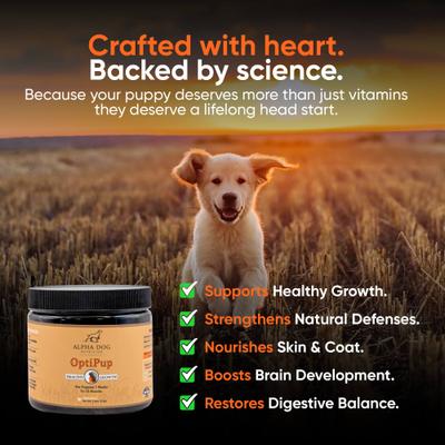 Show full view: Alpha Dog Nutrition OptiPup All-in-1 Multivitamin Beef Flavor Powder Supplement for Puppies, 5.4-oz jar slide 5 of 10