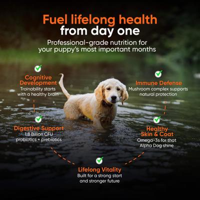 Show full view: Alpha Dog Nutrition OptiPup All-in-1 Multivitamin Beef Flavor Powder Supplement for Puppies, 5.4-oz jar slide 3 of 10