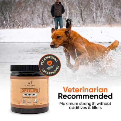Show full view: Alpha Dog Nutrition OptiLife Multivitamin Beef Flavor Powder Supplement for Dogs, 7.8-oz jar slide 10 of 10
