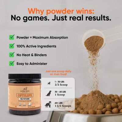 Show full view: Alpha Dog Nutrition OptiLife Multivitamin Beef Flavor Powder Supplement for Dogs, 7.8-oz jar slide 7 of 10