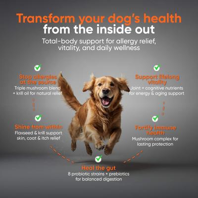 Show full view: Alpha Dog Nutrition OptiLife Multivitamin Beef Flavor Powder Supplement for Dogs, 7.8-oz jar slide 3 of 10