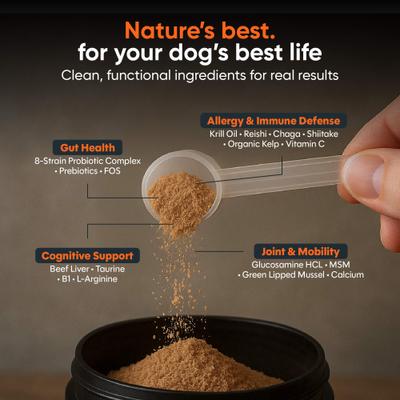 Show full view: Alpha Dog Nutrition OptiLife Multivitamin Beef Flavor Powder Supplement for Dogs, 7.8-oz jar slide 4 of 10