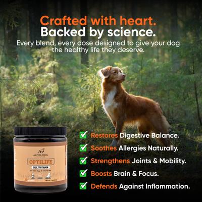 Show full view: Alpha Dog Nutrition OptiLife Multivitamin Beef Flavor Powder Supplement for Dogs, 7.8-oz jar slide 5 of 10