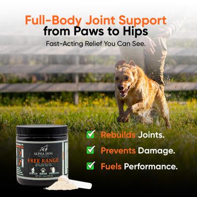 Show full view: Alpha Dog Nutrition Free Range Joint Health Enhancer Powder Supplement for Dogs, 3.9-oz jar slide 5 of 10