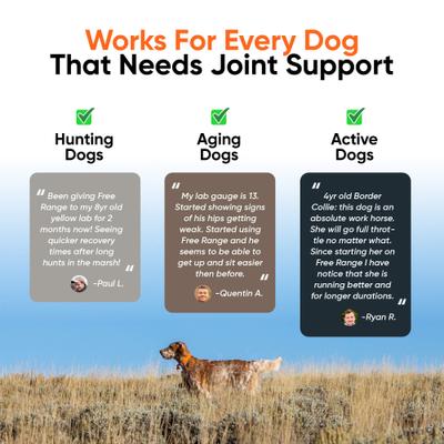 Show full view: Alpha Dog Nutrition Free Range Joint Health Enhancer Powder Supplement for Dogs, 3.9-oz jar slide 8 of 10