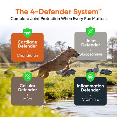 Show full view: Alpha Dog Nutrition Free Range Joint Health Enhancer Powder Supplement for Dogs, 3.9-oz jar slide 3 of 10