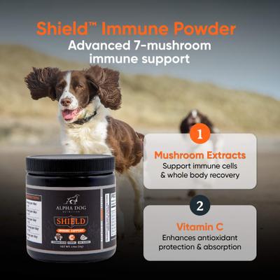 Show full view: Alpha Dog Nutrition Shield Immune Support Beef Flavor Powder Supplement for Dogs, 1.9-oz jar slide 5 of 10