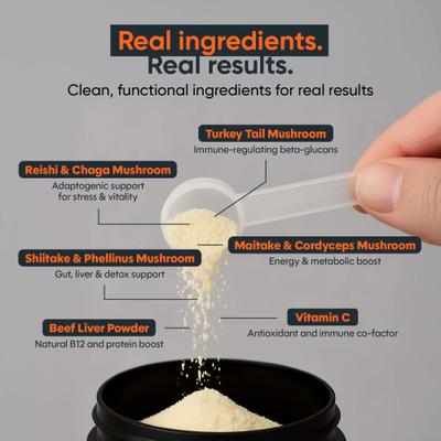 Show full view: Alpha Dog Nutrition Shield Immune Support Beef Flavor Powder Supplement for Dogs, 1.9-oz jar slide 4 of 10