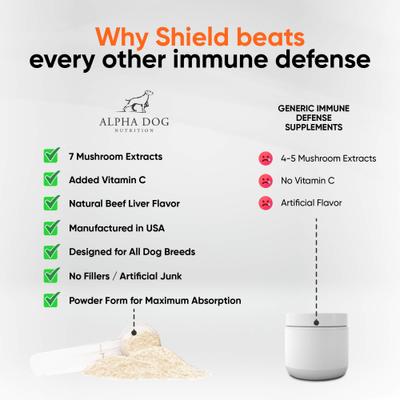 Show full view: Alpha Dog Nutrition Shield Immune Support Beef Flavor Powder Supplement for Dogs, 1.9-oz jar slide 6 of 10