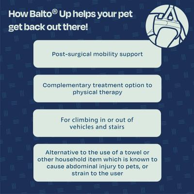 Show full view: Balto Up Rear Dog Harness Support, Large slide 7 of 9