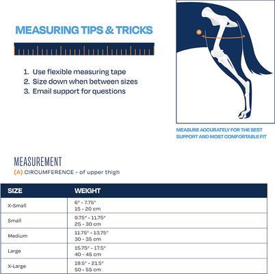 Show full view: Balto Up Rear Dog Harness Support, Small slide 4 of 9