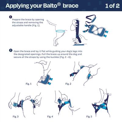 Show full view: Balto Up Rear Dog Harness Support, Small slide 5 of 9