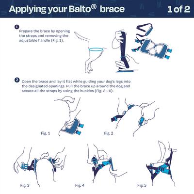 Show full view: Balto Up Rear Dog Harness Support, Large slide 5 of 9