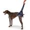 Show in main carousel: Balto Up Rear Dog Harness Support, Small slide 1 of 9