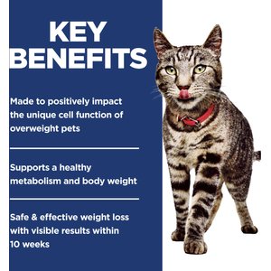 Hill's Science Diet Adult Perfect Weight Management Chicken Recipe Dry Cat Food, 15-lb bag