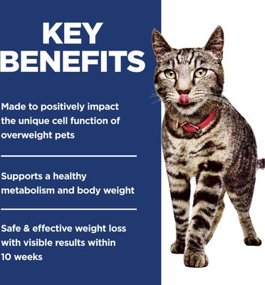 Show full view: Hill's Science Diet Adult Perfect Weight Management Chicken Recipe Dry Cat Food, 7-lb bag slide 5 of 12