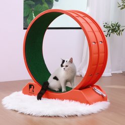 RYPetmia Indoor Cat Exercise Wheel with Interactive Toy, Orange, 31.5 x 13.4 x 33.5-in