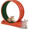 Show in main carousel: RYPetmia Indoor Cat Exercise Wheel with Interactive Toy, Orange, 31.5 x 13.4 x 33.5-in slide 3 of 11