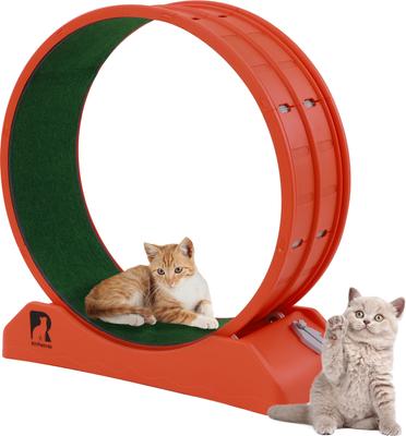Show full view: RYPetmia Indoor Cat Exercise Wheel with Interactive Toy, Orange, 31.5 x 13.4 x 33.5-in slide 3 of 11