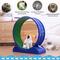 Show in main carousel: RYPetmia Indoor Cat Exercise Wheel with Interactive Toy, Purple, 31.5 x 13.4 x 33.5-in slide 7 of 10
